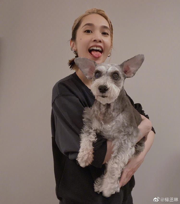 可爱少女！杨丞琳抱爱犬扎双马尾娇俏可爱