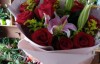 【美天棋牌】教师节为什么送向日葵 教师节送花要送几朵