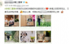 【美天棋牌】综艺节目幸福三重奏官方在社交平台上分享了一波最新花絮照