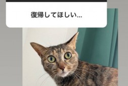 【美天棋牌】这就是松下问童子删帐号的原因?让退而不休的女优最困扰的是⋯【EV扑克官网】