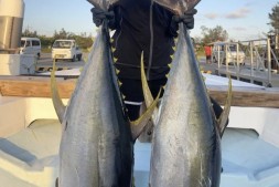 【美天棋牌】不只会剑玉!涼森れむ(凉森玲梦)还是天才小钓手!【EV扑克官网】