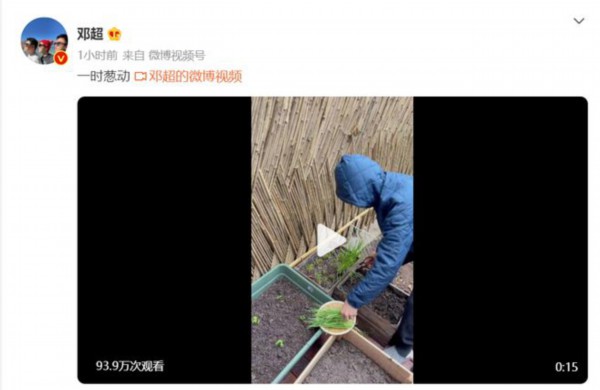 孙俪拍邓超雨中剪葱 两口子玩谐音梗拌嘴甜蜜十足|模范夫妻_网易娱乐