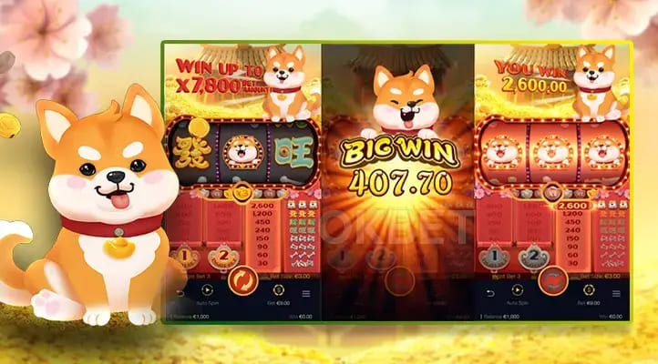 旺旺旺老虎机——大发娱乐上的喜庆娱乐人气之选【EV扑克官网】