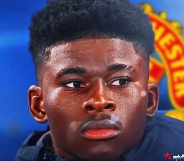 迈博体育 曼联认为巴莱巴已是囊中物！B费告知未来计划【EV扑克官网】