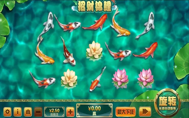 大发娱乐全新力作 —— 招财锦鲤，带你畅游好运与财富【EV扑克官网】