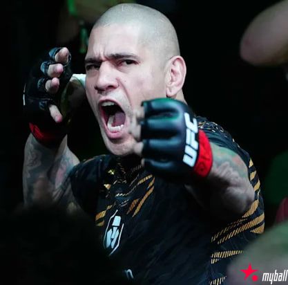 大发体育-亚历克斯将在UFC327之前放弃轻重量级冠军头衔，大发助力你的致富之路！【EV扑克官网】