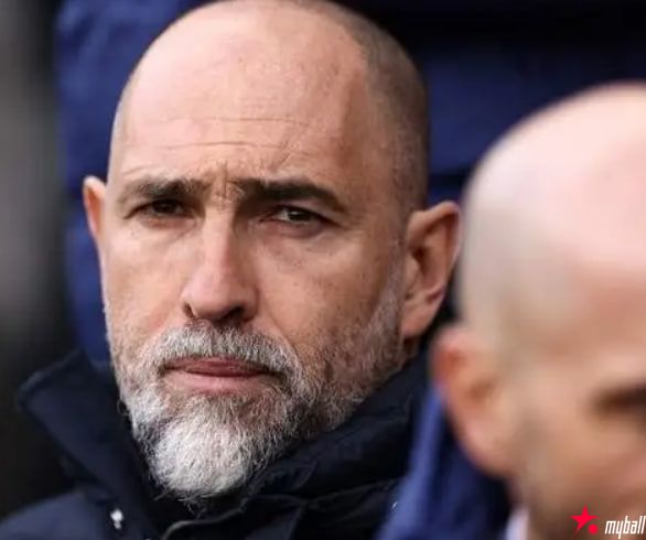 迈博体育 降级不是玩笑！热刺1-3水晶宫遭遇五连败【EV扑克官网】