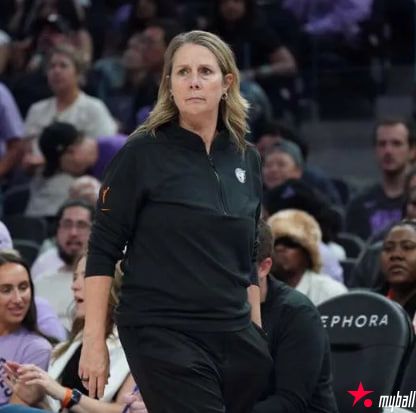 明尼苏达山猫队首次全球招聘，扩充前台团队，大发体育助力你的致富之路！【EV扑克官网】